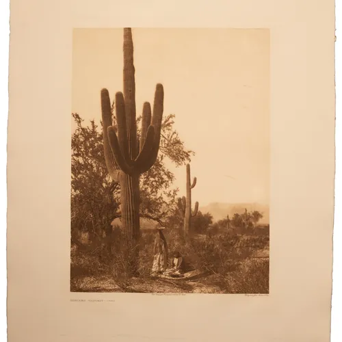 Saguaro Harvest Pima photogravure print by Edward S. Curtis - 23x19