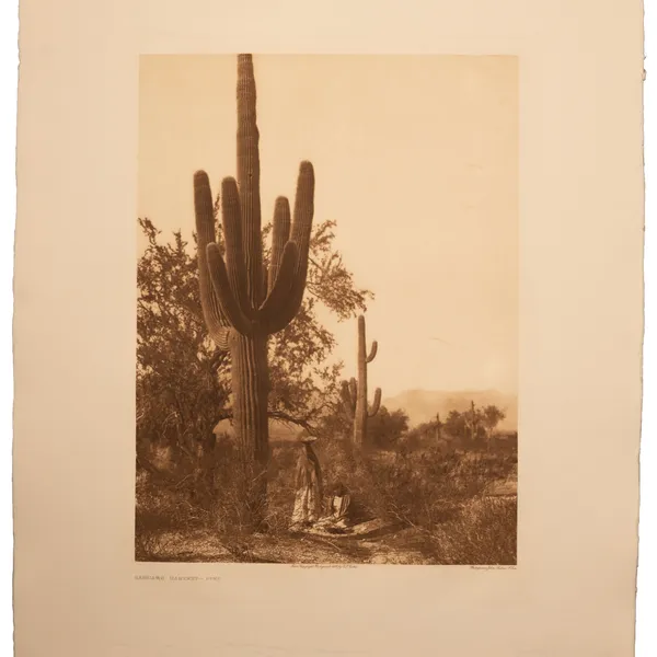 Saguaro Harvest Pima photogravure print by Edward S. Curtis - 23x19